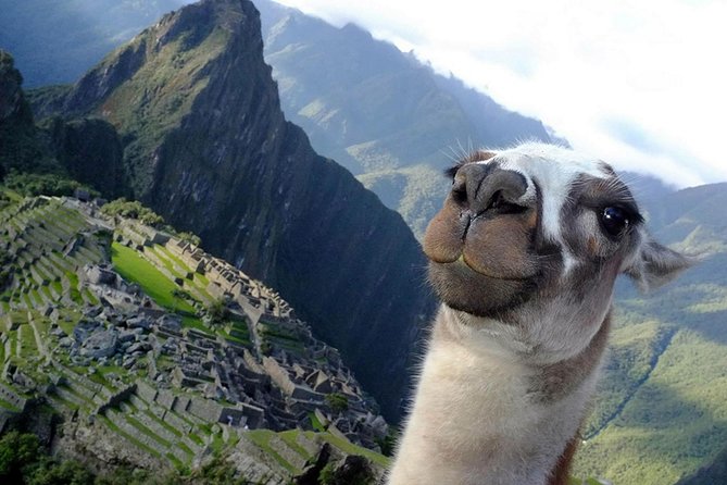 Salkantay Plus Inca Trail In A Single Route - Transportation and Transfers Explained