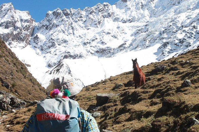 Salkantay Trek to Machu Picchu (5 Days) - Reviews and Traveler Testimonials
