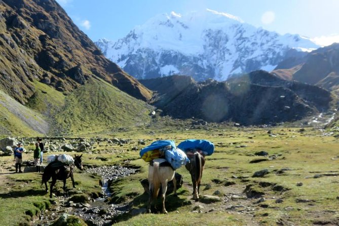Salkantay Trek To Machu Picchu 5 Days - Health and Safety Considerations