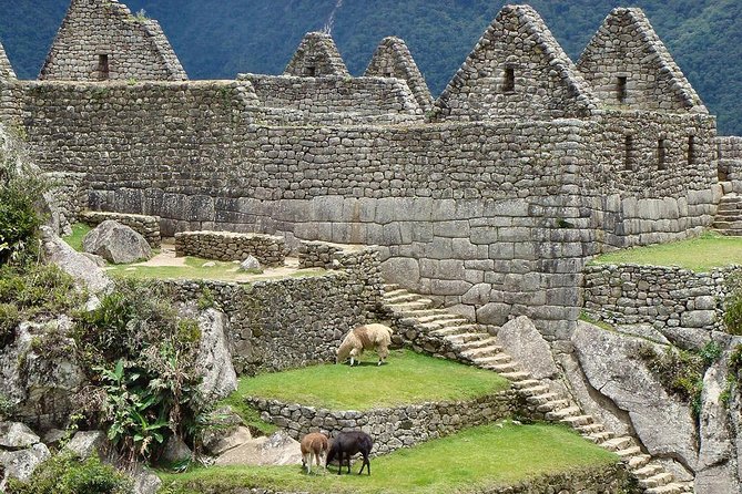 Salkantay Trek to Machu Picchu (5 Days) - Itinerary and Highlights