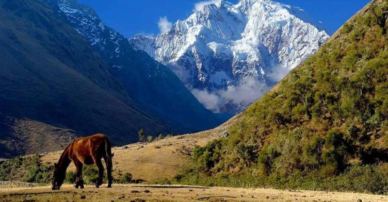 Salkantay Trekking to Machu Picchu + Lake Humantay 4D and 3N - Inclusions and Exclusions