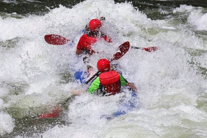 Salmon River Whitewater Rafting in Riggins, Idaho - Overview of the Salmon River Whitewater Rafting Experience