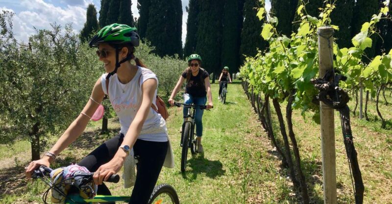 Salò: E-Bike Tour With Wine Tasting on Valtenesi Hills - Tour Highlights