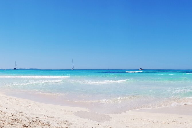 Salobrar Natural Park, Es Trenc Beach - Key Points