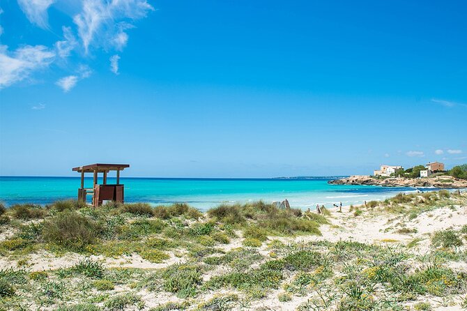 Salobrar Natural Park, Es Trenc Beach - Meeting Point and Pickup Options
