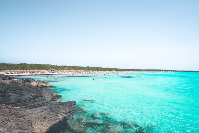 Salobrar Natural Park, Es Trenc Beach - Planning Your Visit