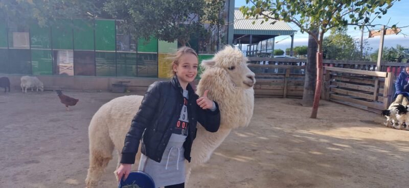 Salou, Cambrils, or Pineda: Animal Farm Roundtrip Transfer - Pickup and Accessibility
