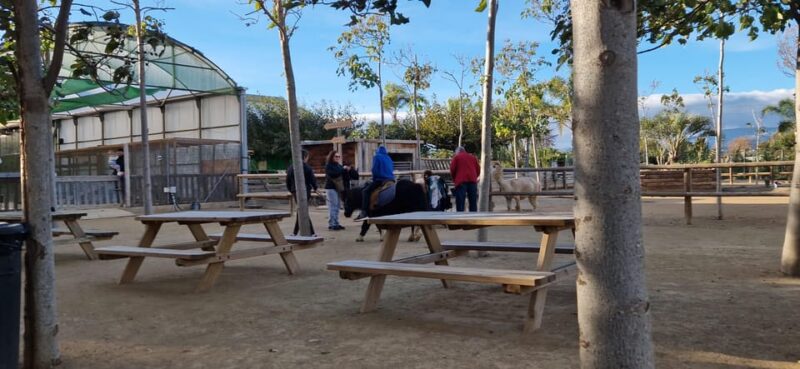 Salou, Cambrils, or Pineda: Animal Farm Roundtrip Transfer - Additional Options