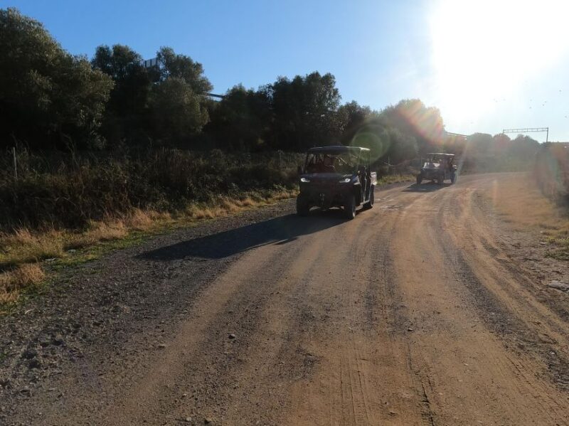 Salou: Kids Buggy Driving Experience in Safe Environment - Key Points
