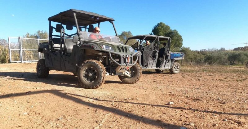 Salou: Kids Buggy Driving Experience in Safe Environment - Highlights of the Activity