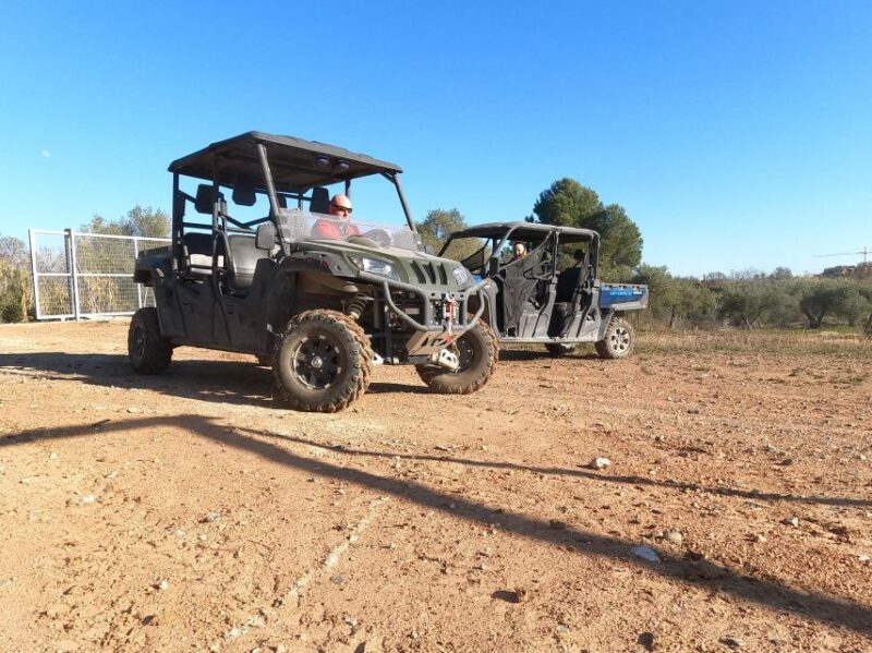 Salou: Kids Buggy Driving Experience in Safe Environment - Age and Weight Restrictions