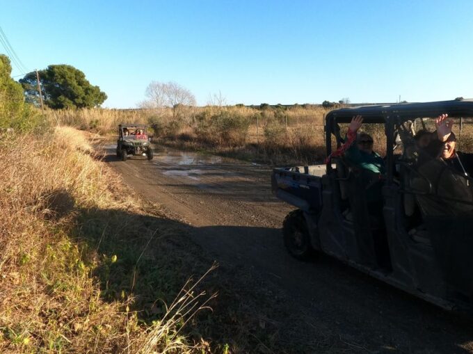 Salou: Kids Buggy Driving Experience in Safe Environment - Learning Responsibilities Behind the Wheel