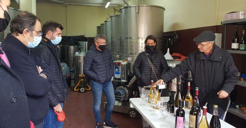 Salou: Priorat Tasting Wine-Cellar Tour With Hotel Pickup - Experience Details