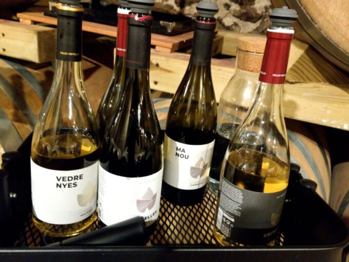 Salou: Priorat Tasting Wine-Cellar Tour With Hotel Pickup - Tour Organization