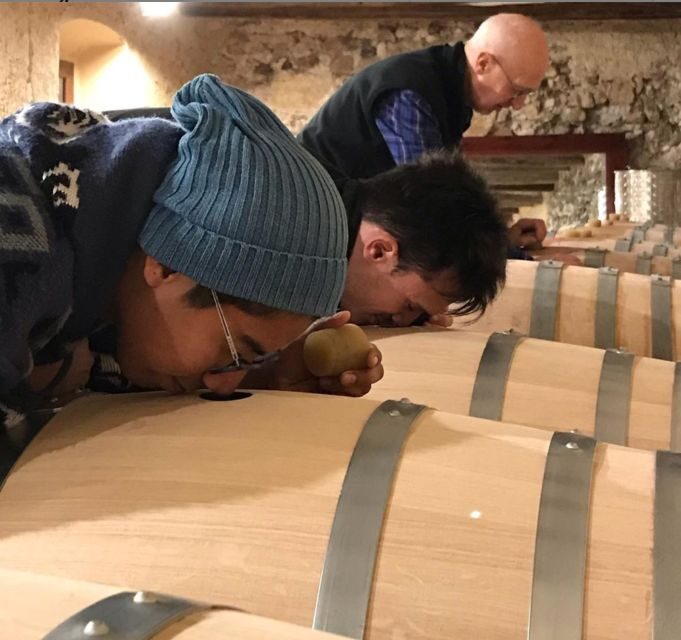 Salou: Priorat Tasting Wine-Cellar Tour With Hotel Pickup - About the Priorat Region