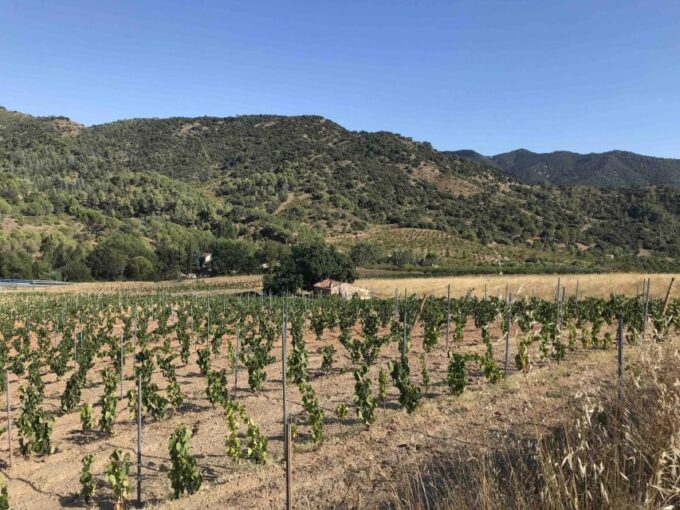 Salou: Priorat Tasting Wine-Cellar Tour With Hotel Pickup - Frequently Asked Questions