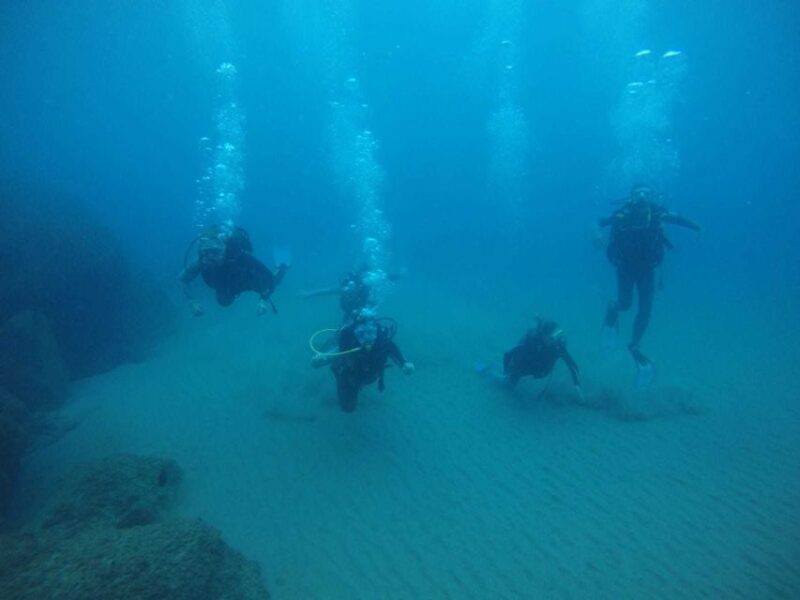 Salou: Scuba Diving for Beginners - Seeing the Marine Life