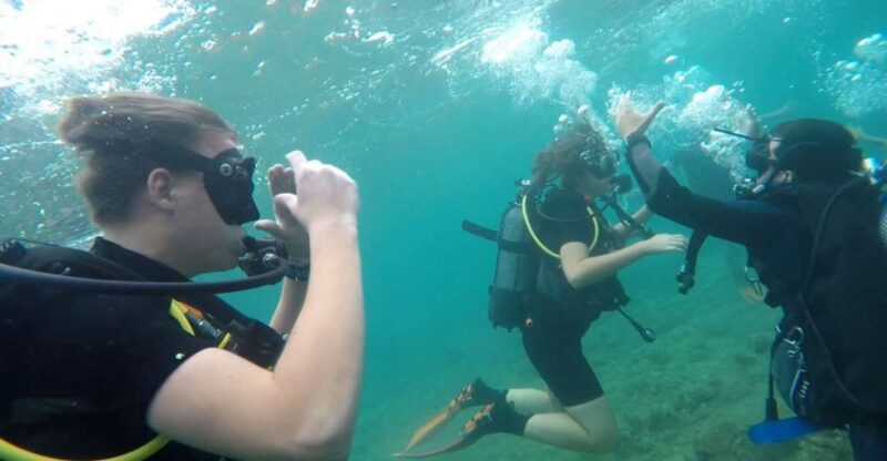 Salou: Scuba Diving - Booking and Cancellation