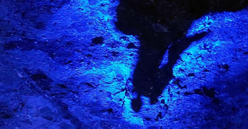 Salt Cathedral Private Tour With Lunch and Ticket Included. - Key Points