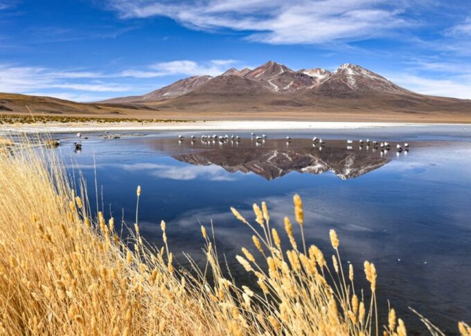 Salt Flats, Colorful Lagoons 3d 2n Tour + Transfer San Pedro - Booking Information