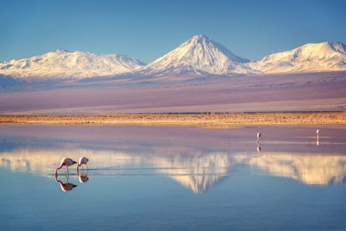 Salt Flats, Colorful Lagoons 3d 2n Tour + Transfer San Pedro - Booking Information