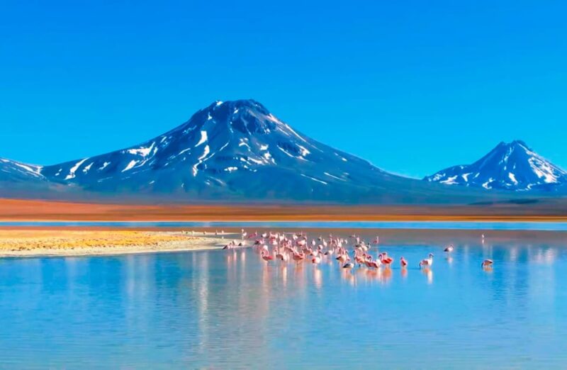 Salt Flats Expedition - Intimate Journey + Culinary Delights - Exploration Highlights