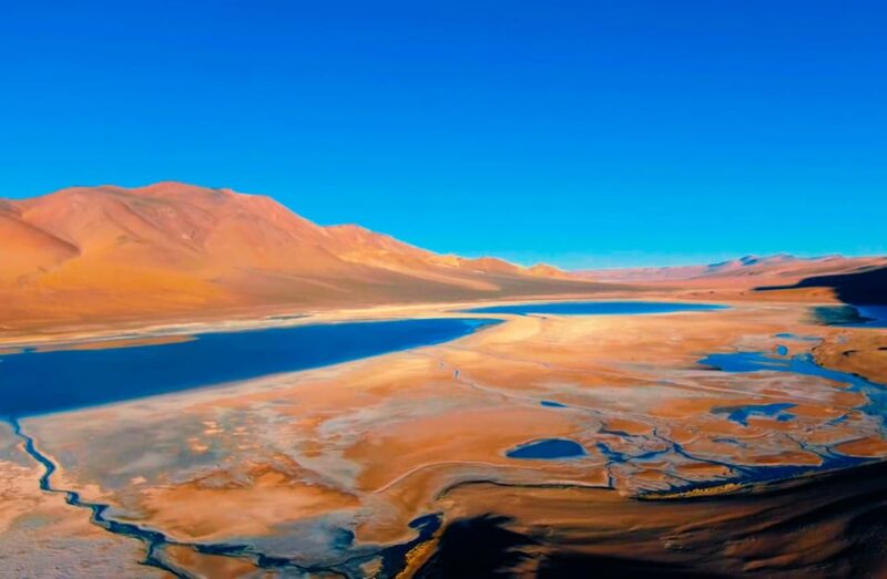 Salt Flats Expedition - Intimate Journey + Culinary Delights - Inclusions and Culinary Experience