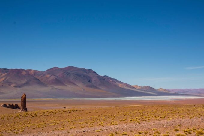 Salt Flats Expedition - Intimate Journey + Culinary Delights - Transportation and Pickup