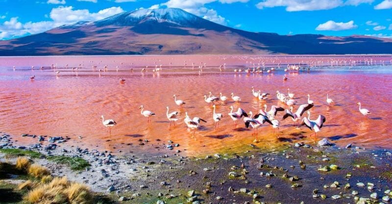 SALT FLOORS 3 DAYS 2 NIGHTS TOUR (Shared) - Frequently Asked Questions