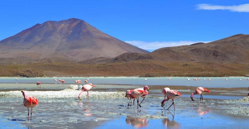 SALT FLOORS 3 DAYS 2 NIGHTS TOUR (Shared) - Itinerary Highlights