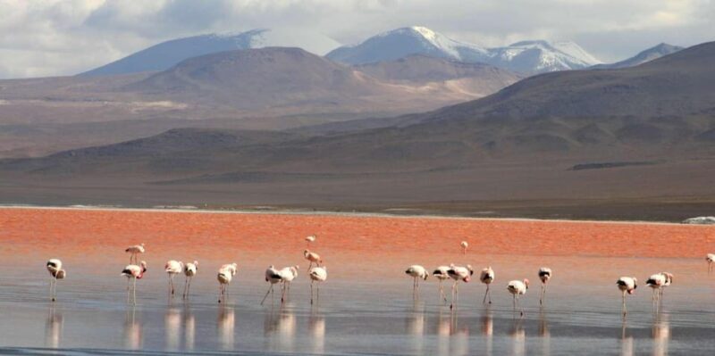 SALT FLOORS 3 DAYS 2 NIGHTS TOUR (Shared) - Day 1: Uyuni to Villa Candelaria