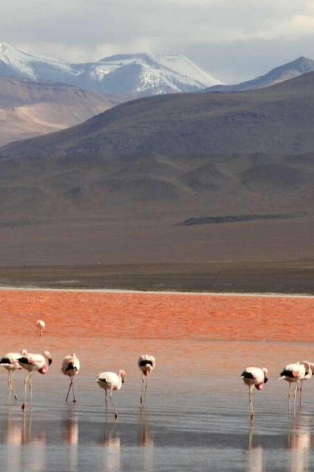 SALT FLOORS 3 DAYS 2 NIGHTS TOUR (Shared) - Inclusions