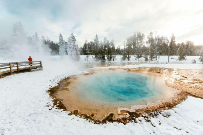 Salt Lake City: 3-Day Yellowstone Winter Wildlife Tour - An In-Depth Look at the 3-Day Yellowstone Winter Tour