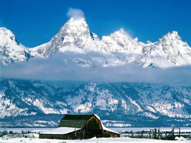 Salt Lake City: 3-Day Yellowstone Winter Wildlife Tour - Final Thoughts