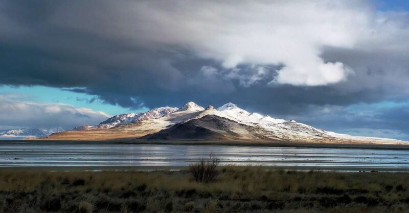 Salt Lake City: Great Salt Lake Antelope Island Guided Tour - Tour Highlights
