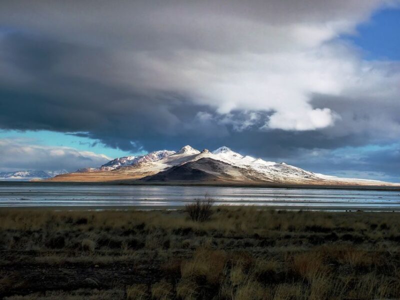 Salt Lake City: Great Salt Lake Antelope Island Guided Tour - Inclusions