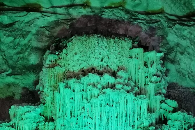 Salt Mine Prahova and Muddy Volcanoes Private Tour From Bucharest - Customer Support and Reviews