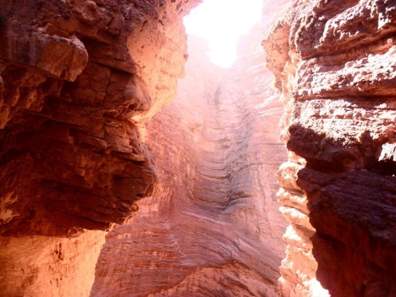 Salta: 2-Day Tour to Cafayate - Customer Ratings