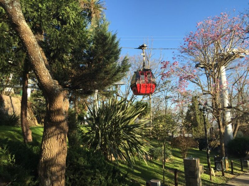 Salta: 4-Hour Guided Highlights City Tour - Customer Reviews