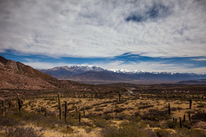 Salta Adventure: Underground Rivers and Mountain Trekking - Cardones National Park Visit