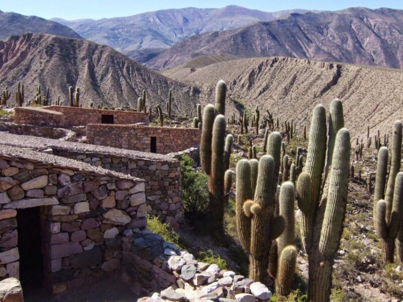 Salta: Quebrada De Humahuaca and Purmamarca Day Trip - Key Points