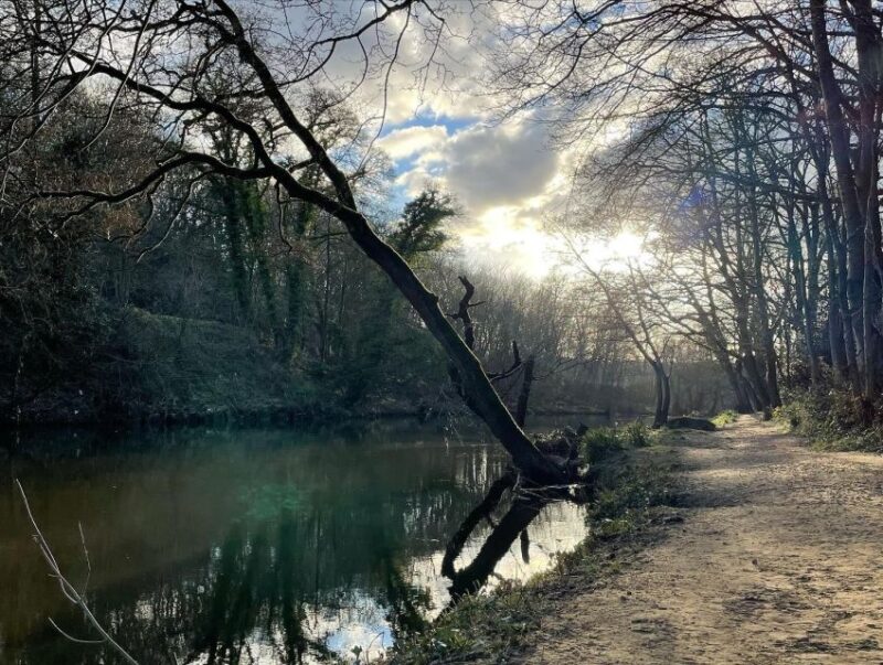 Saltaire: Full-Day Guided Walking Tour - Key Points