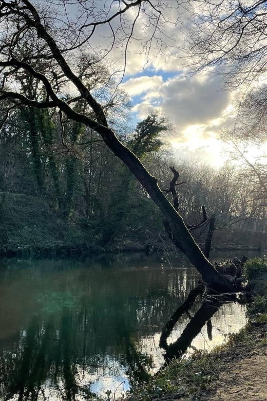 Saltaire: Full-Day Guided Walking Tour - Salts Mill Exploration
