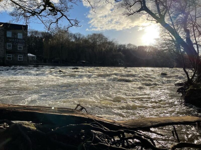 Saltaire: Full-Day Guided Walking Tour - Hirst Wood and Roberts Park