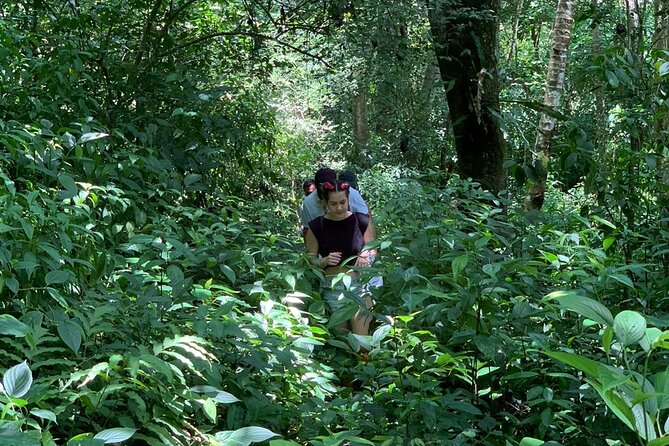 Salto De La Jalda - Leaping La Jalda- Hiking or Horse Riding by Rain Forest - Questions About Your Stay