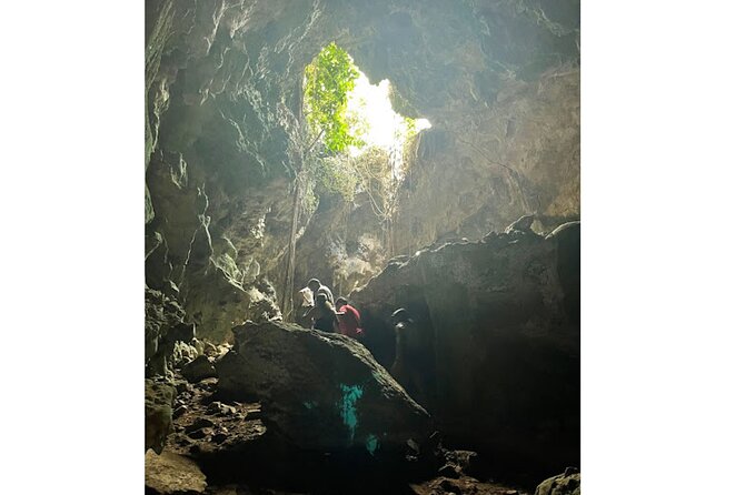 Salto De Limon + Cayo Levantado With Transportation - Accessibility and Participation