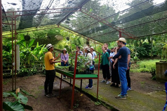 Salto Del Tequendama and Hacienda Del Cafe (Private Tour) - Reviews and Ratings