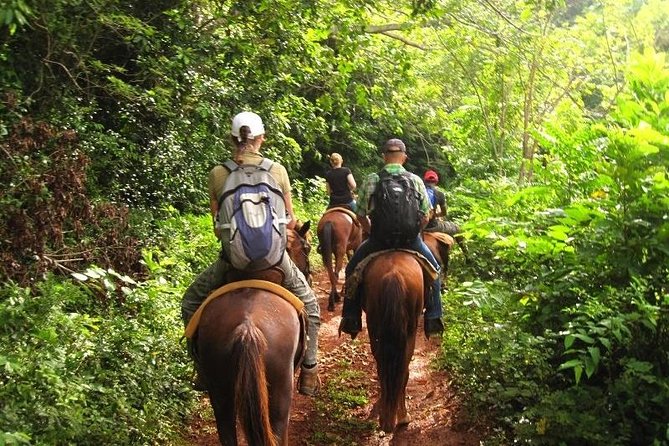 Salto El Limón Waterfalls & Cayo Levantado Tour - Meeting and Pickup Details