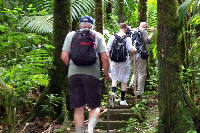 Salto El Limón Waterfalls & Cayo Levantado Tour - Tour Highlights