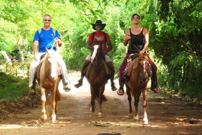 Salto El Limón Waterfalls & Cayo Levantado Tour - Booking Your Experience